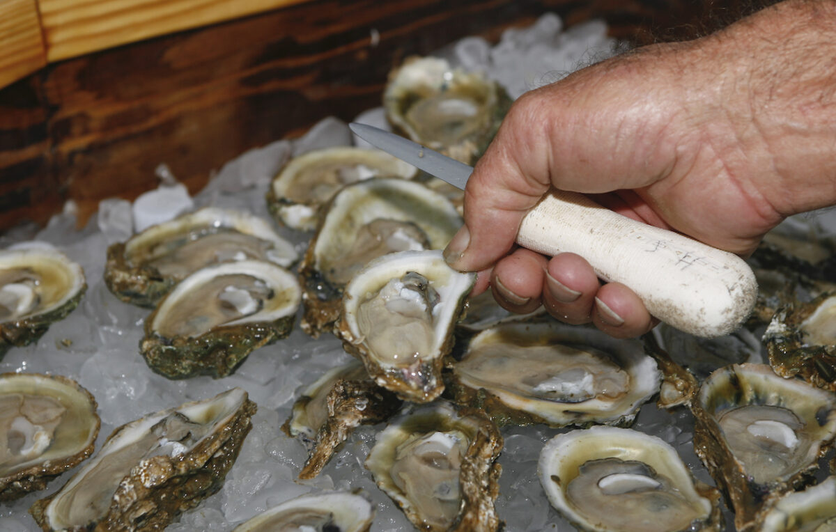 Oysters are displayed in Apalachicola, Fla., on Aug. 13, 2013. (Phil Sears/AP Photo)