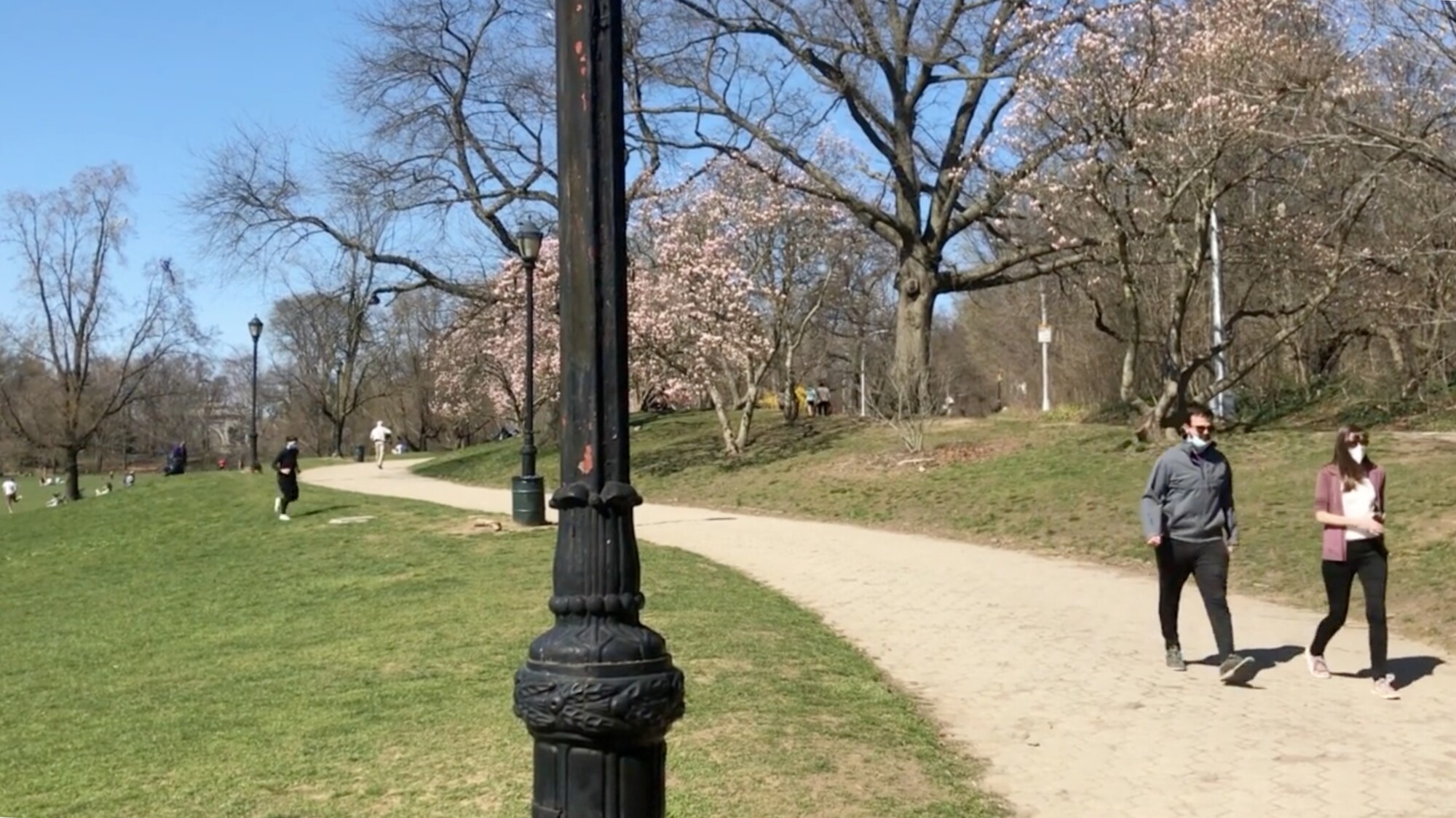 Springtime Comes to Prospect Park in New York