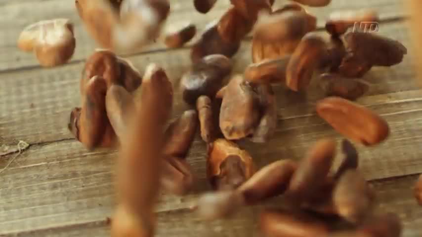 How Chocolates Are Made