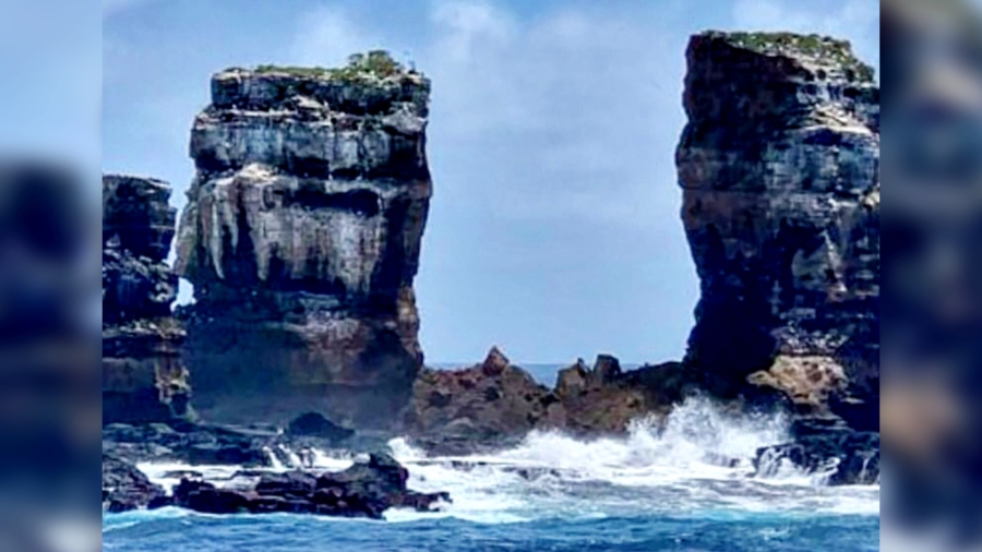 Darwin's Arch Collapses