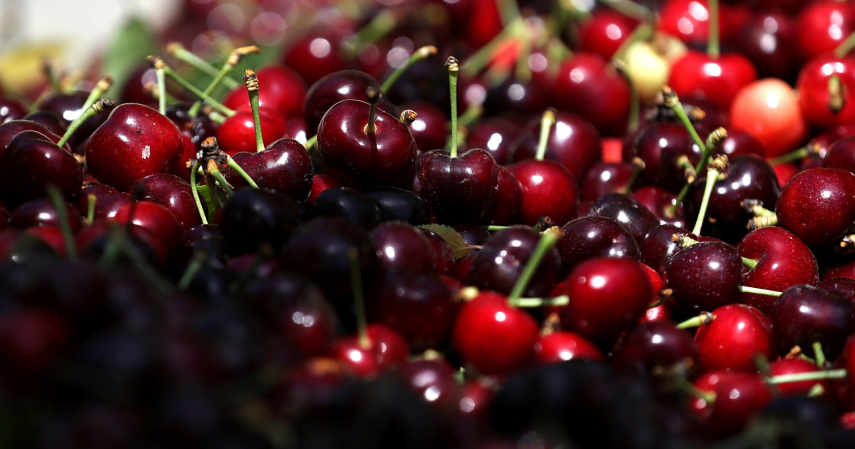 California Cherry Season Starts NTD