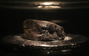 4.5-Billion-Year-Old Meteorite on Display