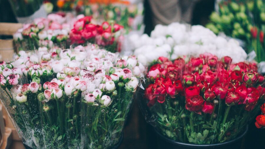 Flower Shortage Ahead of Mother's Day