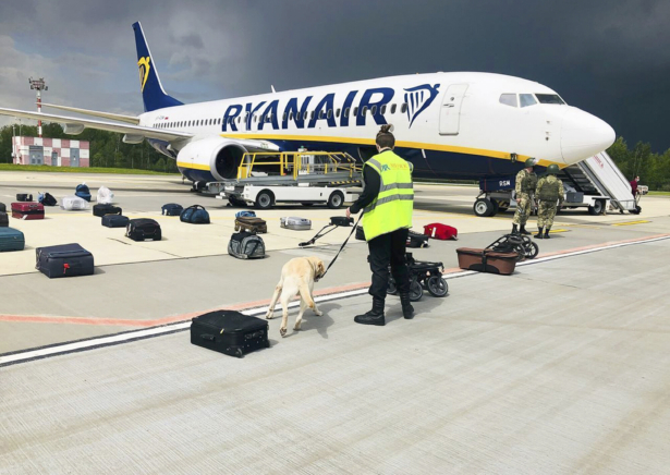 Security use a sniffer dog to check the luggage of passengers on the Ryanair plane with registration number SP-RSM, carrying opposition figure Raman Pratasevich which was traveling from Athens to Vilnius and was diverted to Minsk after a bomb threat, in Minsk International airport, in Belarus, on May 23, 2021. (onliner.by via AP)