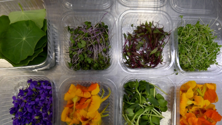6 Health Hacks: Easy Tips to Be Healthier Right Now
