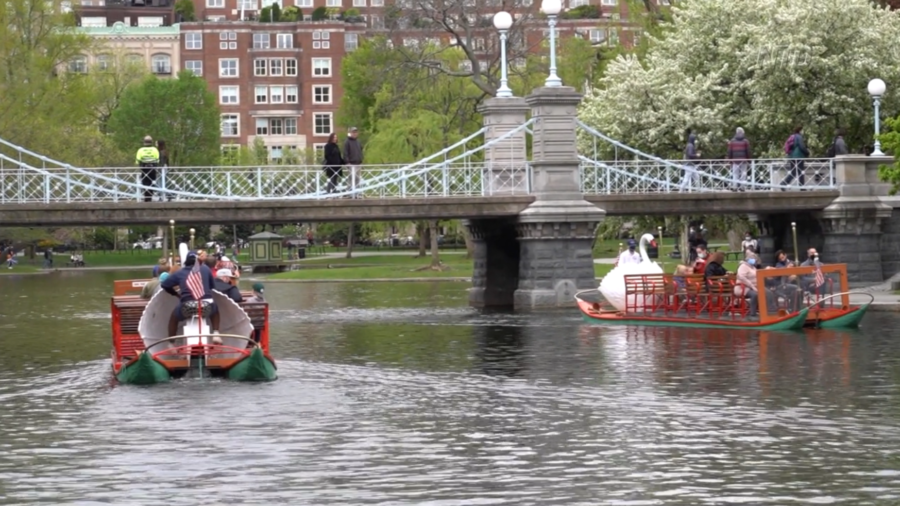 Swan Boats Flock Back to Boston Public Garden