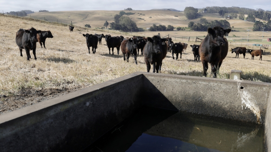 Drought Endangers California Agriculture
