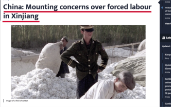 China’s Push to Boycott a Cotton Oversight Council