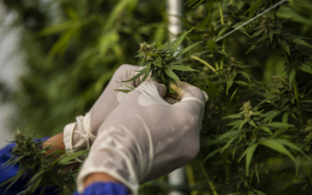 California City to Build Cannabis Facilities