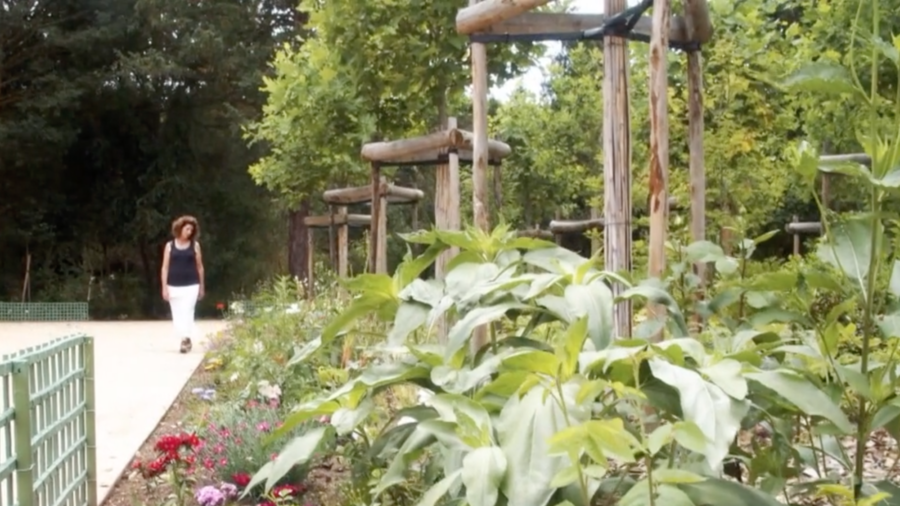 Marie Antoinette’s Garden Restored