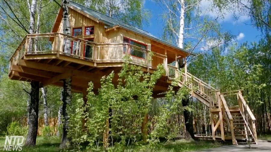 Couple Builds Russian Treehouse Hotel