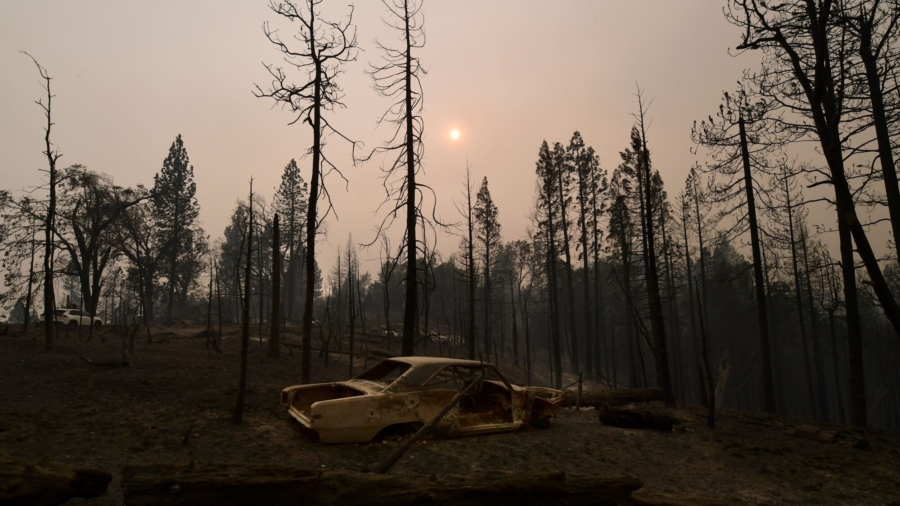 Wildfire Claims 10 Percent of the World’s Sequoias