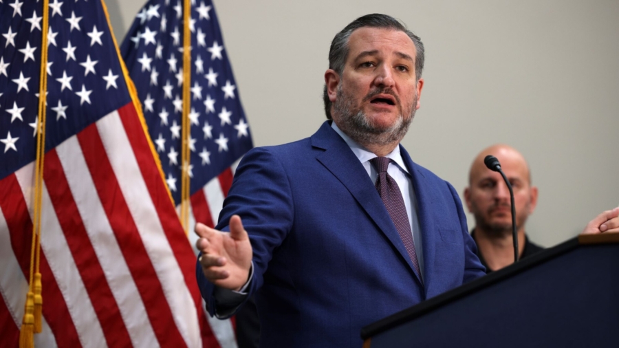 Senator Ted Cruz Responds to Meme Patriotically