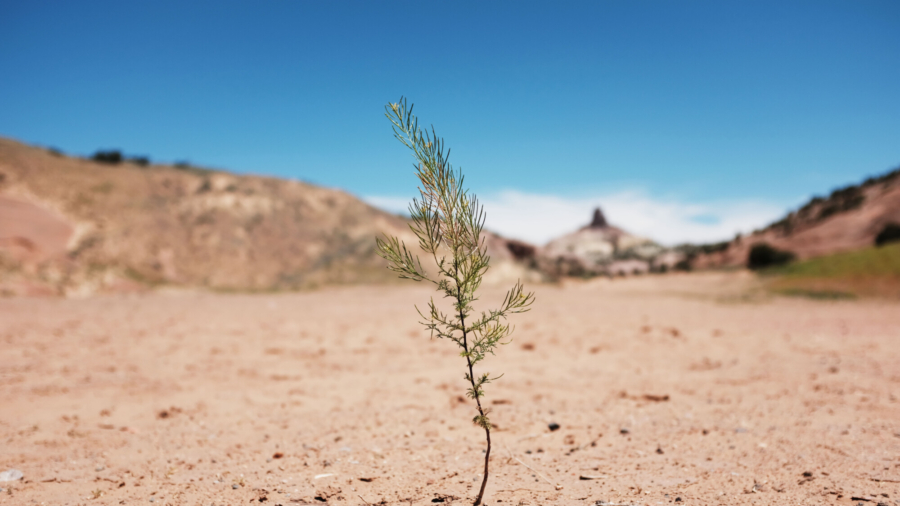 Governor Encourages Utah Residents to Pray for Rain