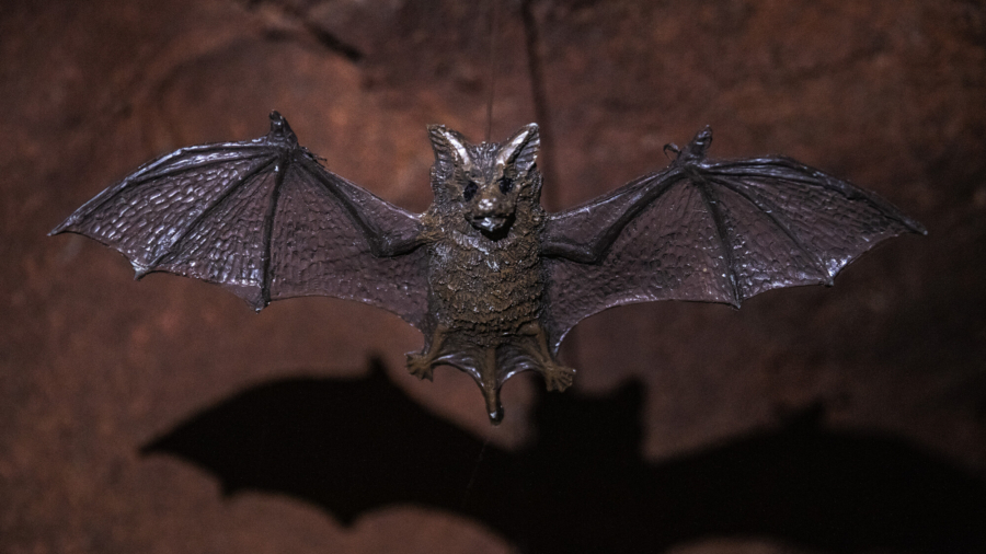 Oxford Study: No Bats Sold in Wuhan in 2019