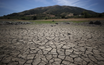 Southern California Asks Millions to Cut Outdoor Water Use Amid Drought