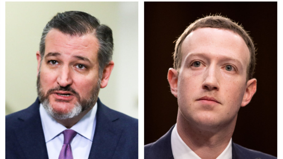 Sen. Cruz: Facebook Could Be Liable for Virus Censorship
