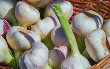 Garlic: More Than a Flavor – Unveiling Its Health Benefits
