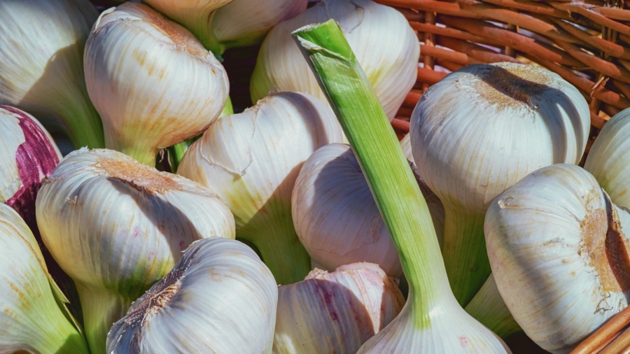 Garlic: More Than a Flavor—Unveiling Its Health Benefits