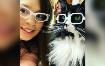 Meet Truffles, the Special Kitty Who Wears Glasses to Help Kids Feel Better