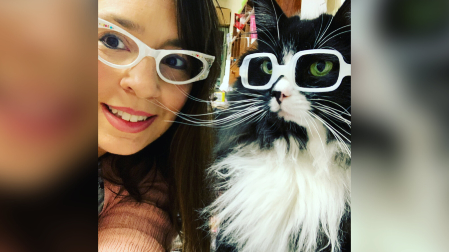 Meet Truffles, the Special Kitty Who Wears Glasses to Help Kids Feel Better