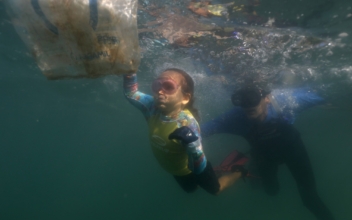 Brazilian Toddler Cleans Plastic from Ocean