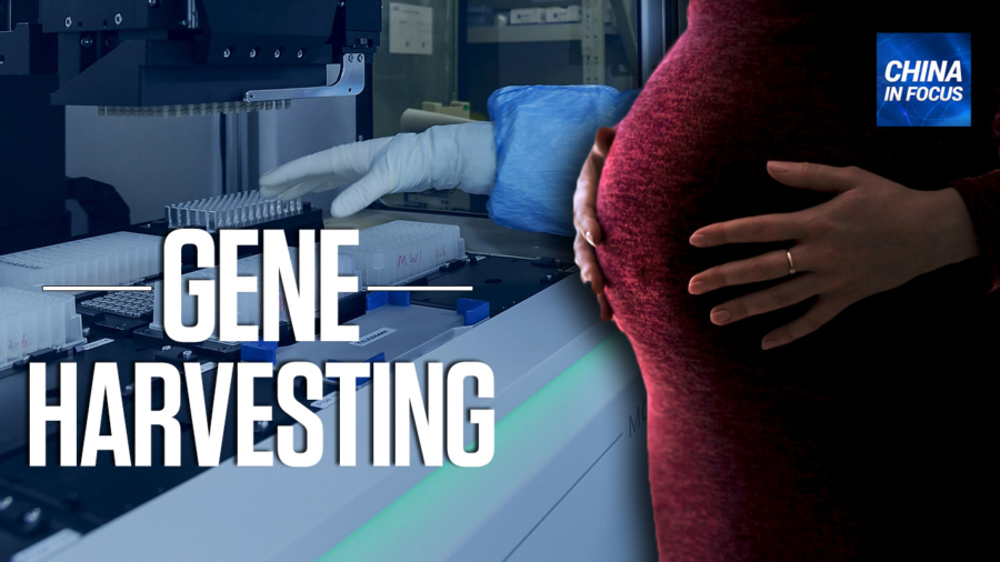 Chinese Firm Harvests Genetic Data From Women