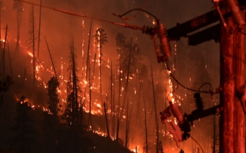 Tree Contacting PG&E Line Caused Dixie Fire