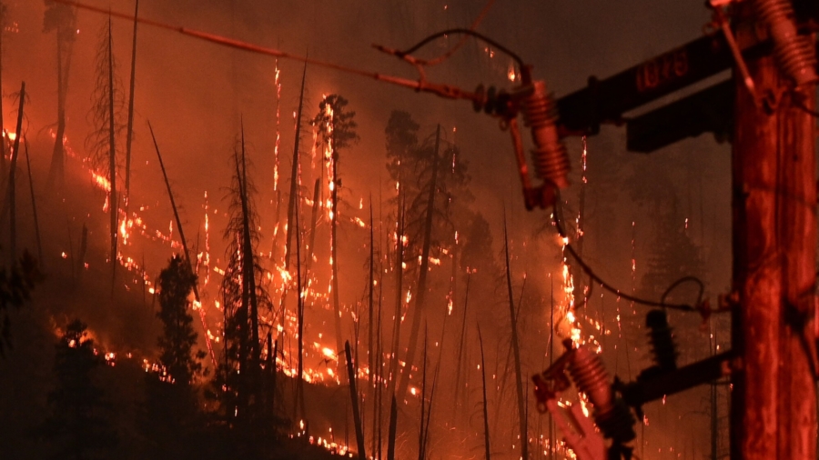 Tree Contacting PG&E Line Caused Dixie Fire