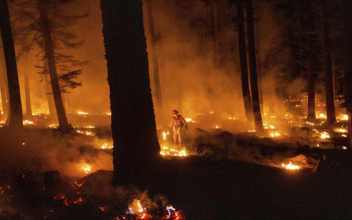 Biden, Governors Discuss Combating Wildfires