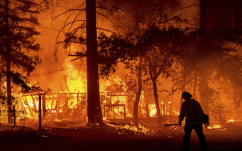 Nearly A Quarter Million Acres Have Burned In California Wildfires