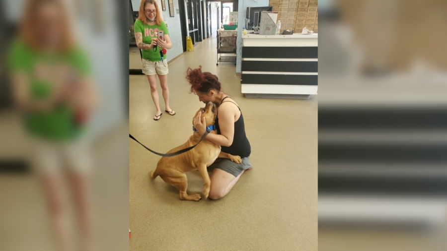 A Woman Was Looking to Adopt a New Pet; Then She Found the Dog She Lost 2 Years Ago