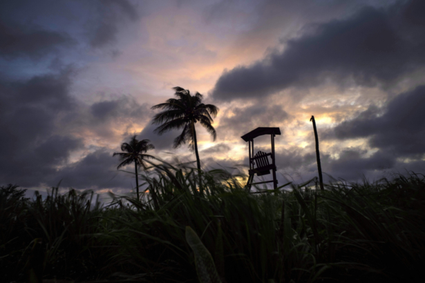 Wind moves the grass and palm trees under a cloudy sky after the passage of Tropical Storm Elsa in Havana, Cuba, on July 5, 2021. (Ramon Espinosa/AP Photo)