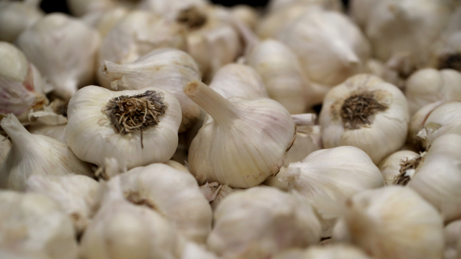 Best Foods to Help Your Body Fight Viruses