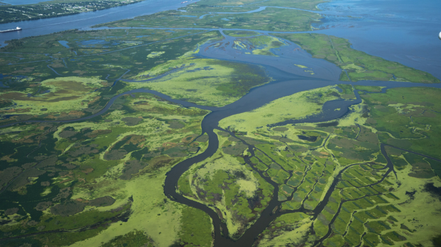 NASA Studies Mississippi River Delta