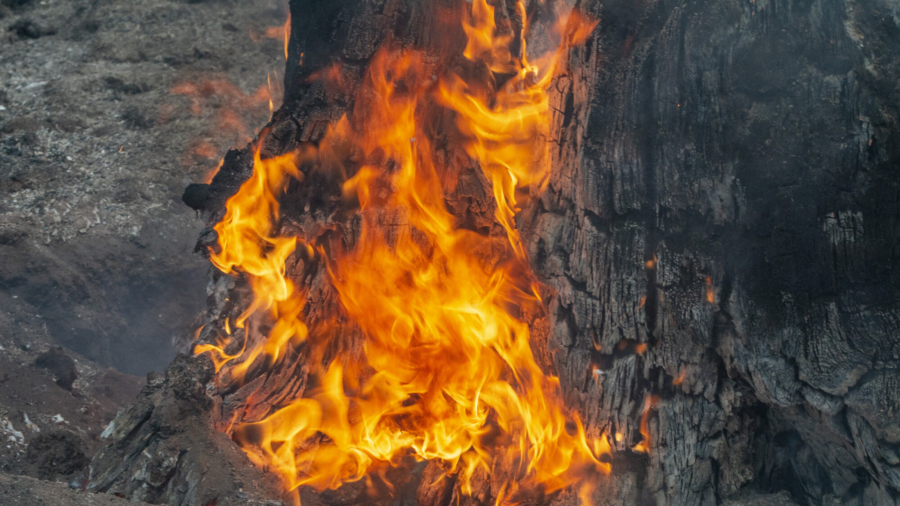 80 Fires Burn in US West