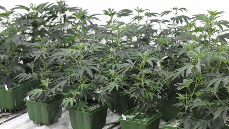 Officials Admit Failure of Oregon's Drug Laws