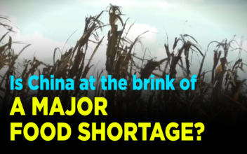 Is China at the Brink of a Major Food Shortage?