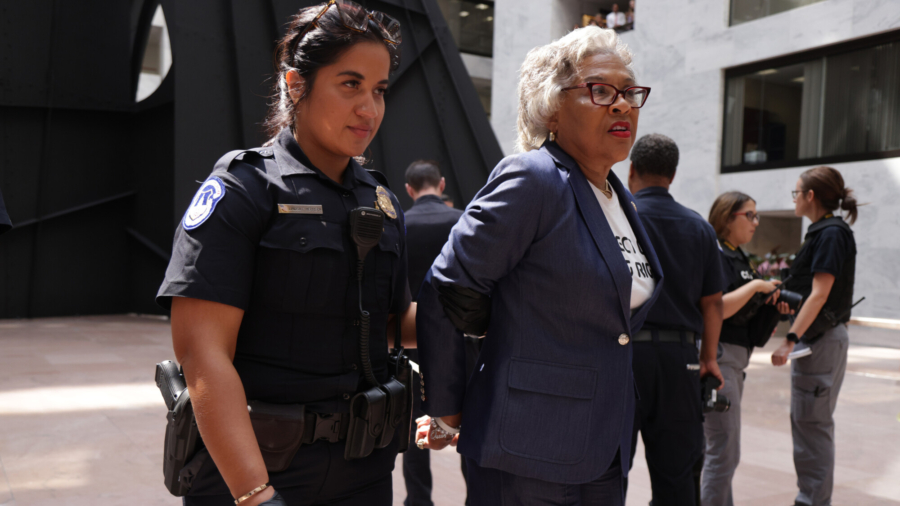 Rep. Arrested for Protest in Senate Offices