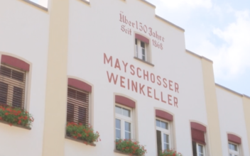 Floods Devastate Historic German Winemaker
