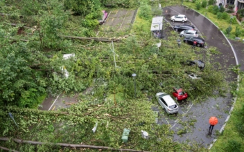 Storms Cause Widespread Damage in Switzerland, Germany
