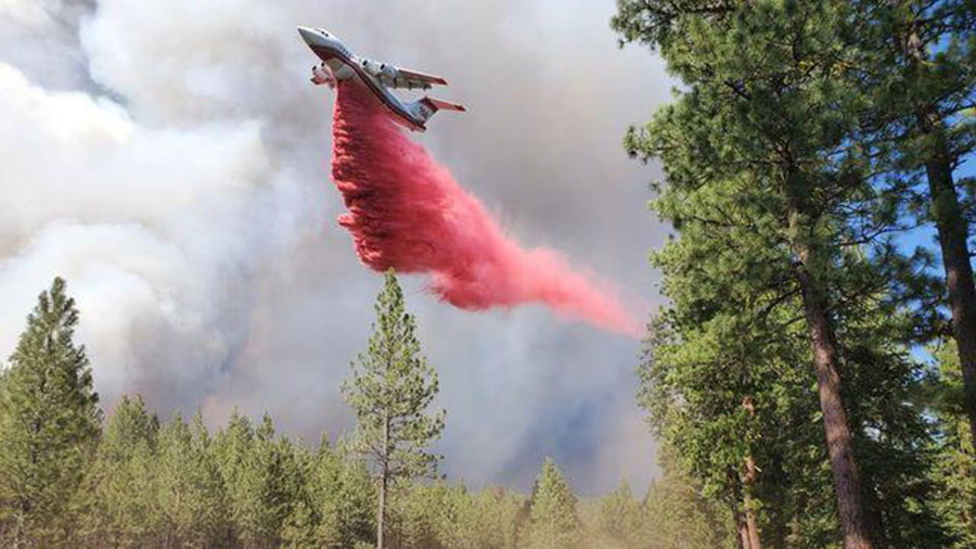Western Wildfires: California Blaze Crosses Into Nevada