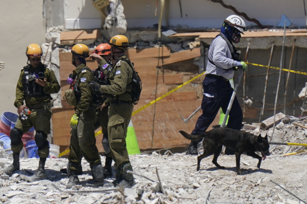 A dog aiding in the search walks past a team of Israeli search and rescue personnel, left, atop the rubble at the Champlain Towers South condominium in Surfside, Fla., on July 2, 2021. (Mark Humphrey/AP Photo)