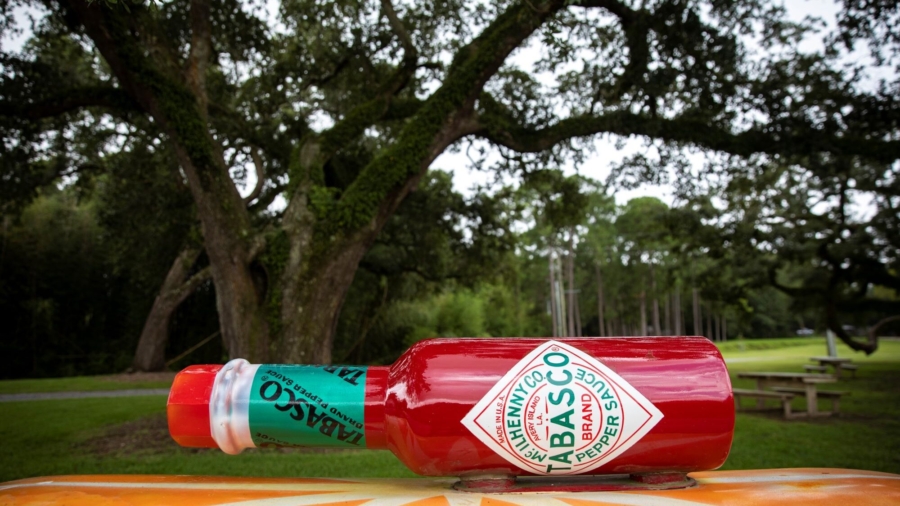 Tabasco Ramps up Marsh Conservation Efforts