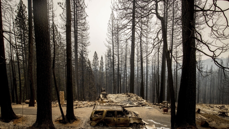 Dry Timber Fuels Caldor Fire, Smokey Skies