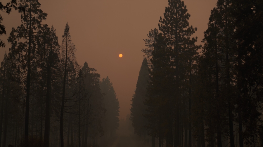 California's Lake Tahoe Reaches Smokey Air Quality
