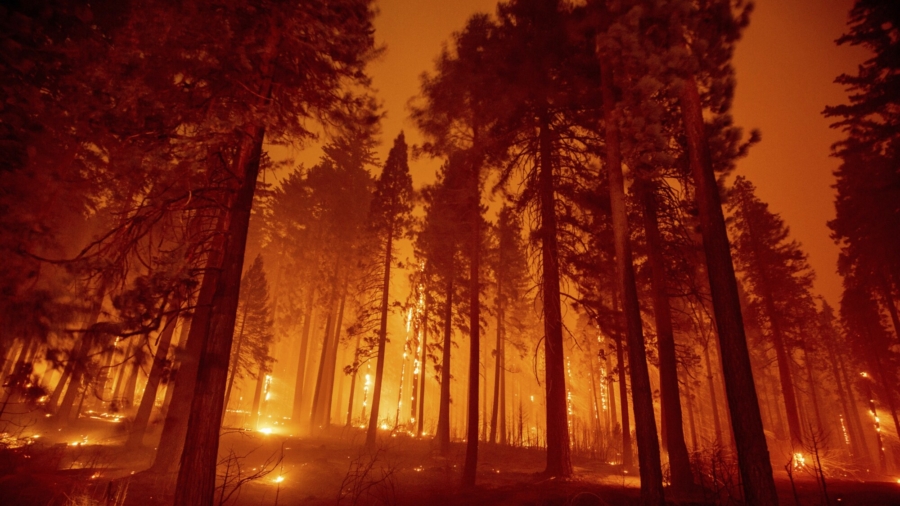 California Attorney General Warns About Price Gouging as Locals Evacuate From Caldor Fire
