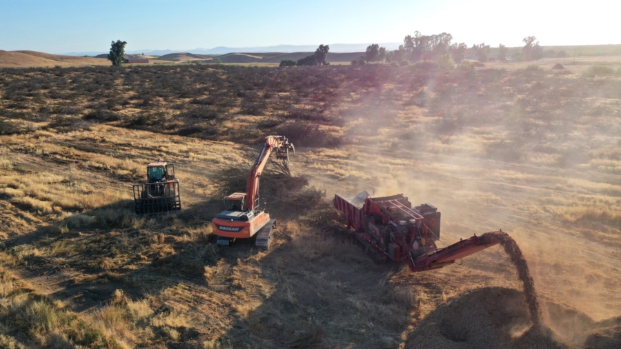 California Drought Threatens Almond Orchards