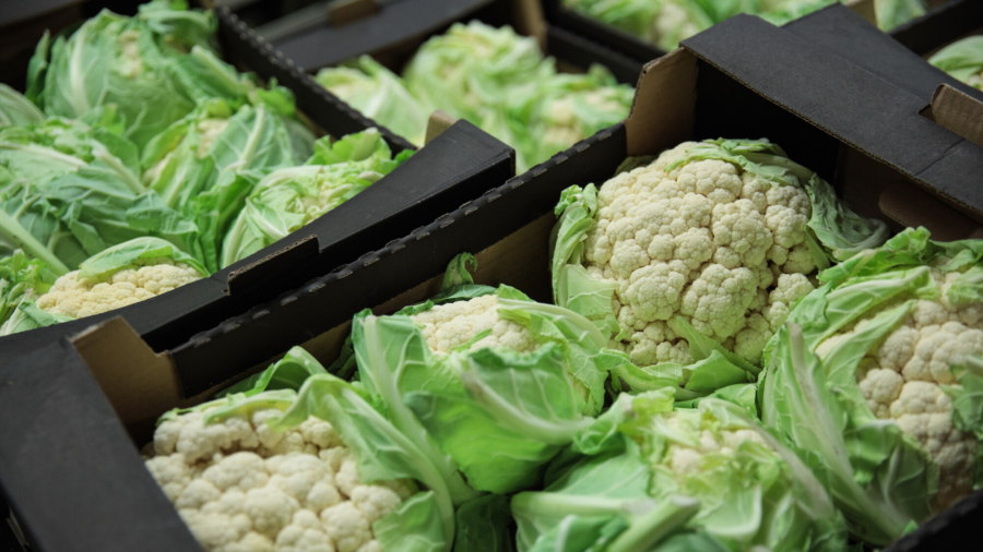 5 Cancer-Fighting Foods for Your Plate