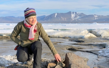 Scientists Find World’s Northernmost Island